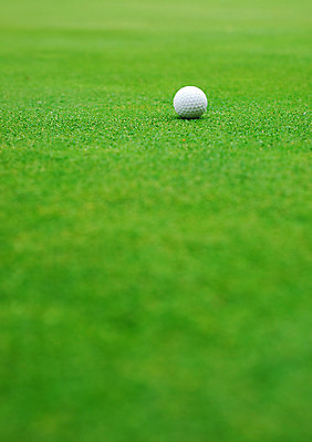 포토 JPG 해외이미지 스포츠 백그라운드 밭 골프 공 자연 놀이 휴가 풍경 잔디 사람없음 야외 초록색 운동 경쟁 게임 흰색 강의 묘사 오브젝트 클럽 내추럴 골프티 해외202004 해외포토 식물 컬러 컨셉 농업 골프용품 건강 구기 생태계 파일형식 이미지허브