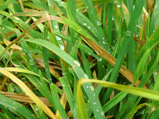 포토 JPG 해외이미지 사람없음 물 해외202004 해외포토 자연요소 파일형식 이미지허브