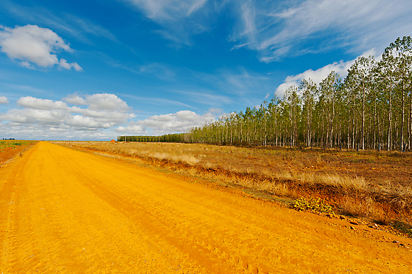 포토 JPG 해외이미지 나무 식물 구름 계절 공원 유럽 도로 줄기 여행 잎 밭 농업 자연 하늘 그림자 풍경 사람없음 야외 초록색 햇빛 젖음 덮개 가을 시골 스페인 숲 그늘 땅 지중해 버리기 언덕 먼지 자작나무 땅바닥 생태학 스페인어 가문비나무 해외202004 해외포토 자연요소 공공시설 교육 나라 산업 길 바다 컬러 교통시설 모션 바닥 태양 뚜껑 생태계 파일형식 이미지허브