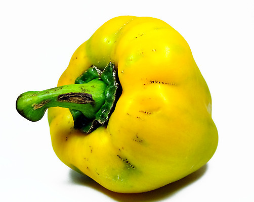 포토 JPG 해외이미지 음식 줄기 채소 비즈니스 자연 고추 파프리카 사람없음 초록색 물 노란색 매움 후추 채식주의자 해외202004 해외포토 자연요소 식물 컬러 맛 향신료 생태계 채식 파일형식 이미지허브