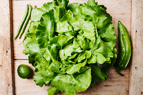 포토 JPG 해외이미지 식물 음식 백그라운드 잎 농업 다이어트 채소 재료 자연 건강 요리 사람없음 목재 초록색 물 머리 주방 정원 샐러드 수확 흰색 신선 원형 상품 레몬 유기농 질감 반쪽 양배추 날것 라임 내추럴 채식주의자 비건 해외202004 해외포토 자연요소 도형 나무 웰빙 산업 컬러 과일 신체부위 생태계 채식 파일형식 이미지허브