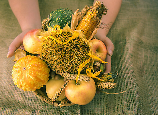 포토 JPG 해외이미지 디자인 계절 컨셉 농업 호박 휴가 해바라기 아이디어 사람없음 목재 장식 농작물 농장 농경지 바구니 견과류 수확 가을 시골 사과 농부 숲 낟알 9월 11월 삼베 추수감사절 스쿼시 10월 숙성 해외202004 해외포토 나무 직업 꽃 산업 기독교 스포츠 채소 과일 재료 구기 날짜 파일형식 천_직물 이미지허브