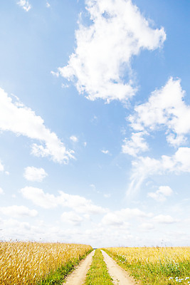 포토 JPG 해외이미지 나무 식물 구름 계절 공원 실루엣 여행 백그라운드 밭 오렌지 자연 하늘 휴가 따뜻함 그림자 풍경 사람없음 야외 빨간색 초록색 여름 파란색 빛 햇빛 태양 노란색 평화 일출 환경 침묵 황혼 일몰 새벽 황금 저녁 숲 장면 내추럴 수평선 해외202004 해외포토 자연요소 공공시설 컬러 컨셉 농업 과일 촬영기법 노을 소리 야간 생태계 파일형식 이미지허브