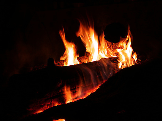 포토 JPG 해외이미지 나무 응시 불꽃 사람없음 빨간색 빛 소풍 노란색 검은색 뜨거움 센터 야간 위험 모닥불 통나무 해외202004 해외포토 자연요소 식물 시선 컬러 컨셉 불 야외활동 파일형식 이미지허브