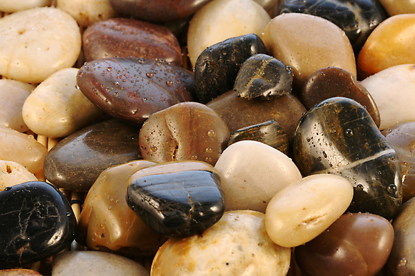 포토 JPG 해외이미지 종교 문화 선 자연 동양인 사람없음 장식 평화 침묵 바위 대나무 내추럴 신앙심 해외202004 해외포토 나무 컨셉 인종 소리 돌_바위 생태계 파일형식 이미지허브