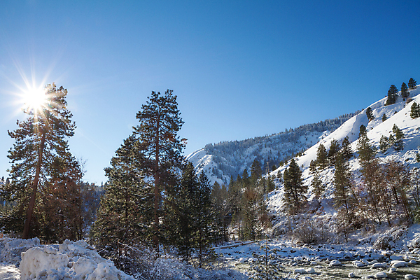 포토 JPG 해외이미지 계절 잎 크리스마스 겨울 자연 하늘 휴가 산 풍경 경사 사람없음 야외 초록색 햇빛 태양 크리스마스트리 환경 맑음 냉동 얼음 침묵 폭포 흐름 추위 시골 개울 숲 12월 고도 언덕 서리 장면 상록수 2월 눈내림 산맥 해외202004 해외포토 자연요소 식물 기념일 컬러 컨셉 날씨 눈_날씨 강 소리 날짜 생태계 파일형식 이미지허브