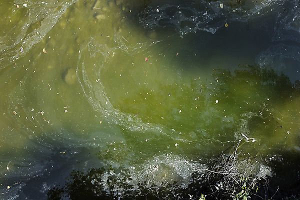 포토 JPG 해외이미지 백그라운드 컨셉 자연 아이디어 사람없음 가로 초록색 물 환경 지저분함 지구온난화 해외202004 해외포토 자연요소 컬러 감각 생태계 기후변화 파일형식 이미지허브