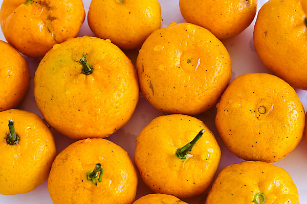 포토 JPG 해외이미지 1 음식 조각 백그라운드 다이어트 오렌지 과일 부분 자연 디저트 귤 건강 식이요법 사람없음 노란색 주스 활발 흰색 신선 원형 달콤 맛 먹기 피부 묘사 싱글 상쾌 유기농 칼로리 내추럴 고립 숙성 완벽 이국적 해외202004 해외포토 도형 웰빙 감정 음료 컬러 컨셉 모션 신체부위 생태계 파일형식 이미지허브