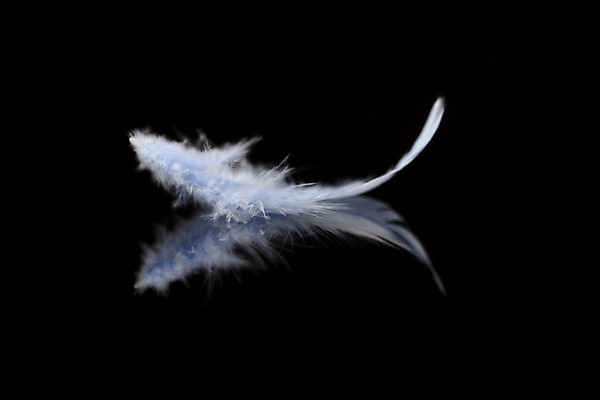 포토 JPG 해외이미지 백그라운드 패턴 추상 천사 사람없음 장식 빛 매끈함 순수 깃털 질감 부드러움 솜털 고립 취급주의 해외202004 해외포토 컨셉 무늬 경고 감각 파일형식 이미지허브