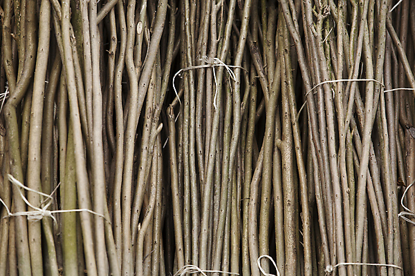 포토 JPG 해외이미지 나무 백그라운드 농업 사람없음 목재 시골 질감 자작나무 해외202004 해외포토 식물 산업 재료 파일형식 이미지허브