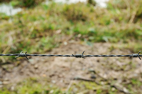 포토 JPG 해외이미지 선 백그라운드 밭 사람없음 울타리 농장 금속 경계선 시골 보호 위험 철 감옥 군용 보안 날카로움 철사 철조망 육군 옛날 해외202004 해외포토 컨셉 농업 재질 군대 안전 담장 경계 파일형식 이미지허브