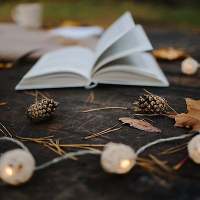 포토 JPG 해외이미지 계절 단풍 잎 휴식 따뜻함 사람없음 야외 책 독서 평화 머그컵 가을 뜨거움 편안함 담요 9월 11월 복고 문학 10월 안락 해외202004 해외포토 식물 컨셉 컵 감각 날짜 파일형식 이미지허브