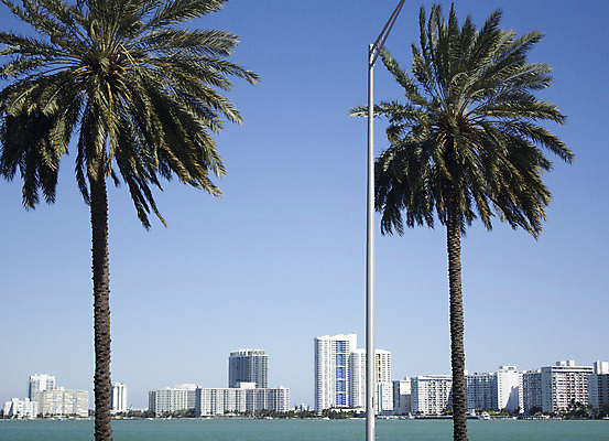 포토 JPG 해외이미지 나무 비즈니스 건축양식 사람없음 야외 건물 관광지 도시풍경 야자수 사무실 고층빌딩 미국 일몰 도시 황금 도심 시티라이프 콘도 스카이라인 마이애미 열대기후 플로리다 해외202004 해외포토 식물 라이프스타일 건축물 건축 여행 북아메리카 숙소 풍경 빌딩 노을 파일형식 이미지허브