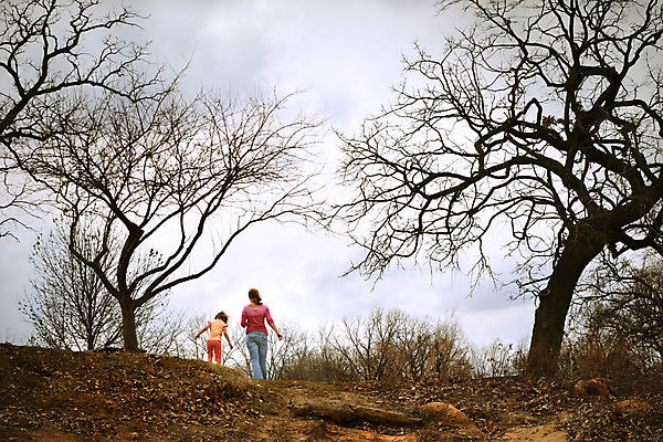 포토 JPG 해외이미지 나무 구름 계절 딸 실루엣 길 어린이 여행 잎 가족 관계 자국 자연 엄마 함께함 사람 풍경 사람없음 야외 운동 걷기 침묵 봄 하이킹 육아 자유 가을 시골 고독 결합 신비 탈출 언덕 검색 장면 탐사 해외202004 해외포토 자연요소 식물 감정 컨셉 모션 레저 촬영기법 건강 소리 생태계 파일형식 이미지허브