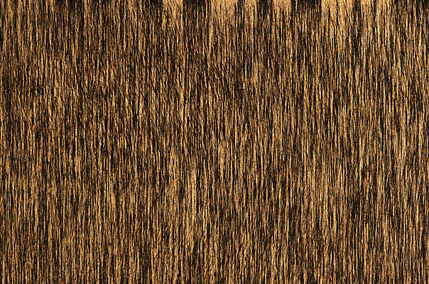 포토 JPG 해외이미지 전통 디자인 옷 백그라운드 패턴 바지 표면 사람없음 장식 파란색 유행 어둠 직물 도시 면 남색 질감 땀 캔버스 섬유 그런지 옛날 스타일 해외202004 해외포토 컬러 무늬 하의 파일형식 이미지허브