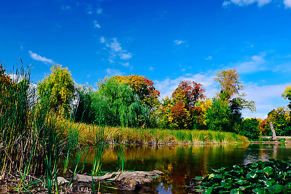 포토 JPG 해외이미지 나무 식물 구름 커플 공원 딸 행복 호수 어린이 2 가족 자연 하늘 엄마 함께함 사랑 사람 풍경 소년 사람없음 야외 초록색 물 여름 파란색 강 반사 걷기 봄 가을 아기 연못 도시 숲 장면 해외202004 해외포토 자연요소 계절 공공시설 남자 감정 컬러 컨셉 관계 모션 생태계 파일형식 이미지허브