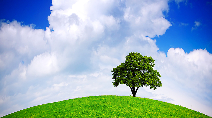 포토 JPG 해외이미지 나무 식물 구름 지구 컨셉 잎 밭 자연 하늘 아이디어 풍경 사람없음 초록색 파란색 빛 세계 글로벌 햇빛 지구본 우주 환경 힘 재활용 행성 에너지 성장 보호 심볼 유기농 생태계 자원 유지 내추럴 생태학 여의주 치유 해외202004 해외포토 자연요소 웰빙 교육 컬러 농업 태양 친환경 파일형식 이미지허브