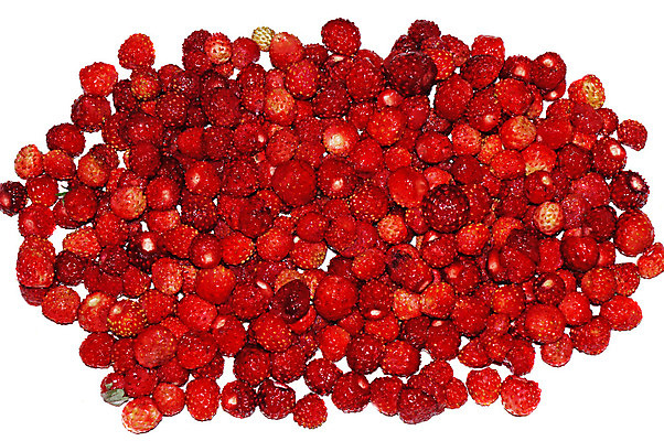 포토 JPG 해외이미지 접시 열매 음식 과일 재료 자연 딸기 디저트 사람없음 빨간색 여름 흰색 신선 달콤 맛 숲 작음 유기농 날것 흙더미 내추럴 강렬 고립 숙성 채식주의자 해외202004 해외포토 식물 식기 웰빙 계절 컬러 컨셉 흙 크기 생태계 채식 파일형식 더미 이미지허브