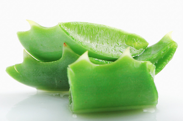 포토 JPG 해외이미지 식물 꽃 줄기 백그라운드 잎 자연 선인장 건강 사람없음 초록색 물 빛 약 우주 주스 화장품 활발 젖음 사막 성장 흰색 신선 가시 닫기 떨어짐 허브 피부 순수 묘사 피부관리 스파이크 고립 넘어짐 돌봄 알로에 억울 해외202004 해외포토 자연요소 감정 음료 컬러 컨셉 의학 모션 신체부위 뷰티 생태계 파일형식 이미지허브