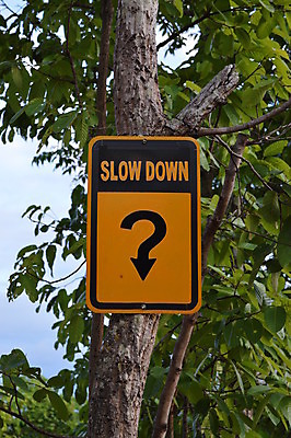 포토 JPG 해외이미지 도로 거리 경고 사람없음 노란색 사인 속도 도로표지판 조심 느림 줄이기 해외202004 해외포토 길 컬러 교통시설 모션 표지판 파일형식 이미지허브