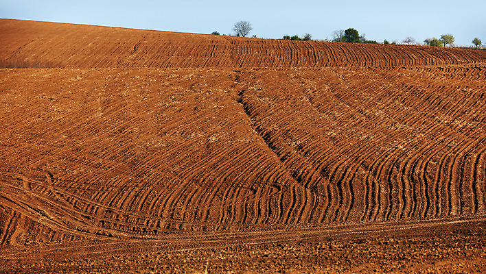 포토 JPG 해외이미지 유럽 지구 밭 농업 풍경 사람없음 농작물 흙 땅 밭일 불가리아 해외202004 해외포토 나라 산업 파일형식 남유럽 이미지허브