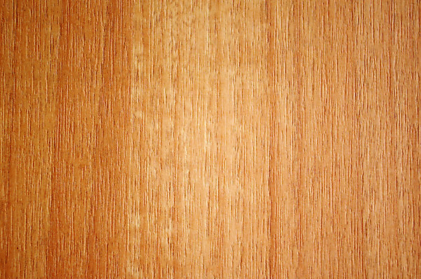 포토 JPG 해외이미지 나무 디자인 외관 벽 백그라운드 패턴 탁자 표면 날씨 추상 바닥 사람없음 목재 장식 갈색 문 수확 골동품 시골 기둥 판넬 얼룩 구멍 거친 널 방향 타일 책상 질감 복고 목공예 정맥 그런지 수목 옛날 합판 파케트 해외202004 해외포토 식물 건축 컬러 가구 무늬 농업 재료 공예 혈관 파일형식 이미지허브