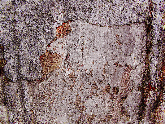 포토 JPG 해외이미지 디자인 외관 벽 백그라운드 패턴 건축양식 벽지 표면 날씨 추상 벽돌 거리 주택 미술 사람없음 건물 갈색 페인트 공백 수확 골동품 도시 얼룩 거친 균열 버리기 묘사 부식 질감 복고 시멘트 구식 그런지 옛날 콘크리트 해외202004 해외포토 건축물 건축 컬러 무늬 농업 모션 문화예술 파일형식 이미지허브