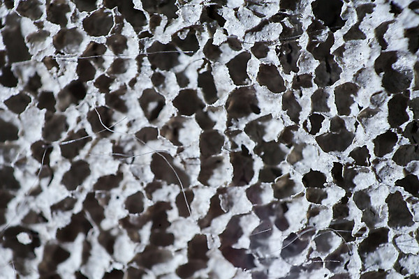 포토 JPG 해외이미지 산업 벽 백그라운드 패턴 건축양식 표면 추상 벽돌 새로움 주택 사람없음 빛 블록 거품 회색 흰색 업무 거친 오브젝트 질감 시멘트 고립 고체 콘크리트 해외202004 해외포토 건축 컬러 컨셉 무늬 건물 작업 파일형식 이미지허브