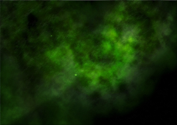 포토 JPG 해외이미지 구름 별 과학 백그라운드 밭 자연 하늘 미래 사람없음 빛 우주 어둠 별자리 행성 신비 다발 은하계 먼지 가스 성운 광 깊이 무한 영원 환상 해외202004 해외포토 자연요소 컨셉 농업 생태계 파일형식 이미지허브