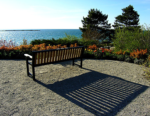 포토 JPG 해외이미지 나무 식물 계절 꽃 호수 파도 여행 벤치 자연 하늘 바람 휴가 그림자 풍경 사람없음 목재 빨간색 초록색 물 여름 파란색 햇빛 태양 노란색 금속 벚꽃 바위 왜가리 휴양지 해외202004 해외포토 자연요소 바다 컬러 의자 재료 재질 조류 날씨 장소 돌_바위 생태계 파일형식 이미지허브