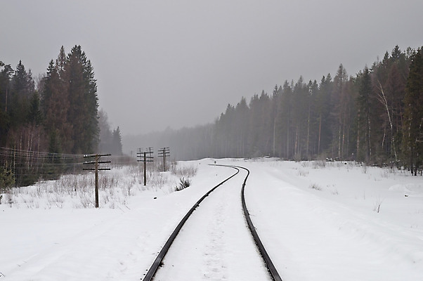 포토 JPG 해외이미지 나무 계절 선 여행 겨울 자연 아침 풍경 사람없음 야외 목재 환경 침묵 봄 추위 안개 흰색 숲 러시아 눈내림 겨울풍경 해외202004 해외포토 주간 식물 유럽 컬러 재료 날씨 눈_날씨 소리 생태계 파일형식 이미지허브