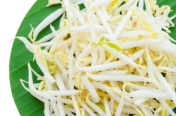 포토 JPG 해외이미지 식물 음식 백그라운드 컨셉 다이어트 채소 재료 콩 건강 요리 씨앗 동양인 사람없음 초록색 새싹 중국 성장 흰색 아기 신선 사발 닫기 먹기 유기농 질감 완두콩 날것 대두 묘목 식용 채식주의자 총쏘기 디테일 해외202004 해외포토 나무 웰빙 아시아 컬러 모션 곡류 사람 인종 사기그릇 채식 파일형식 이미지허브