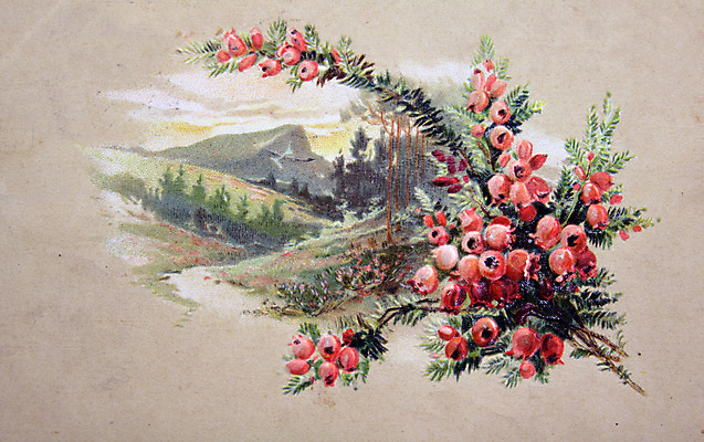 포토 JPG 해외이미지 일러스트 산 독일 미술 풍경 사람없음 글로벌 수확 골동품 나뭇가지 인사 신용카드 그리기 역사 재산 수집 그림 복고 특별함 해외202004 해외포토 나무 유럽 컨셉 농업 모션 문화예술 금융 예절 파일형식 이미지허브