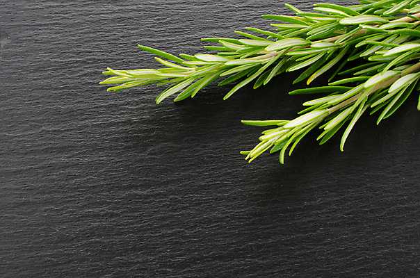 포토 JPG 해외이미지 식물 줄 음식 꽃다발 백그라운드 잎 재료 자연 검은배경 건강 요리 사람없음 가로 초록색 약 칠판 나뭇가지 시골 신선 양념 닫기 먹기 허브 향신료 오브젝트 싱글 유기농 날것 향기 심플 향 노끈 로즈메리 고립 숙성 해외202004 해외포토 나무 웰빙 꽃 컬러 의학 모션 검은색 생태계 냄새 향미료 파일형식 이미지허브