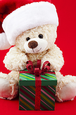 포토 JPG 해외이미지 동물 어린이 백그라운드 크리스마스 장난 휴가 선물 사람없음 빨간색 장난감 산타클로스 갈색 귀여움 축제 곰인형 흰색 강아지 작음 12월 오브젝트 활 부드러움 솜털 폭식 고립 천진난만 해외202004 해외포토 기념일 인형 컬러 컨셉 사람 반려동물 감각 날짜 개 크기 파일형식 이미지허브