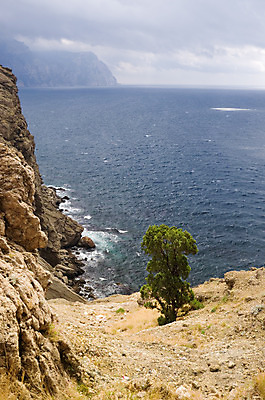 포토 JPG 해외이미지 나무 식물 구름 계절 야생동물 파도 바다 여행 자연 하늘 휴가 산 파노라마 풍경 사람없음 야외 초록색 물 여름 파란색 햇빛 태양 환경 검은색 바위 소나무 만 숲 망토 언덕 그림 휴양지 상록수 석호 우크라이나 수평선 해외202004 해외포토 자연요소 동물 유럽 컬러 촬영기법 장소 돌_바위 생태계 파일형식 이미지허브