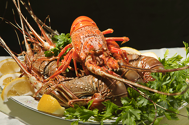 포토 JPG 해외이미지 바다 다이어트 호박 낚시 새우 파슬리 건강 갑각류 어류 사람없음 여름 바닷가재 레몬 라임 아보카도 살사댄스 해외202004 해외포토 동물 계절 채소 과일 레저 수중동물 춤 가재 파일형식 이미지허브