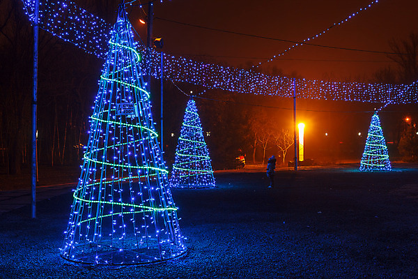 포토 JPG 해외이미지 나무 디자인 계절 백그라운드 크리스마스 겨울 일러스트 추상 휴가 전등 조명 풍경 사람없음 야외 장식 파란색 빛 반사 라벨 어둠 침묵 거품 장비 축하 야간 소프트포커스 숲 12월 심볼 싱글 장면 상록수 침엽수 빛망울 광 멀티 전국 해외202004 해외포토 자연요소 식물 기념일 컬러 컨셉 무늬 프레임 촬영기법 소리 날짜 파일형식 이미지허브