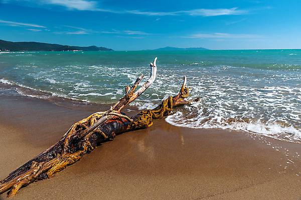 포토 JPG 해외이미지 나무 구름 모래 파도 바다 섬 여행 백그라운드 자연 하늘 휴가 휴식 건조 풍경 사람없음 야외 물 여름 파란색 햇빛 태양 맑음 침묵 이탈리아 젖음 나뭇가지 고독 장면 내추럴 터키석 파라다이스 수평선 해외202004 해외포토 자연요소 식물 계절 감정 유럽 컬러 컨셉 날씨 소리 보석 생태계 파일형식 이미지허브