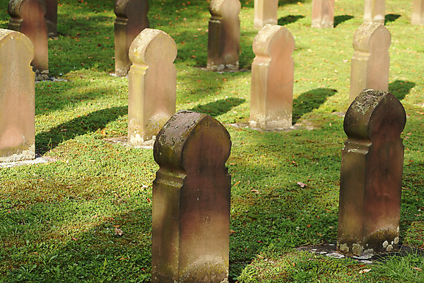 포토 JPG 해외이미지 계절 이끼 잔디 사람없음 햇빛 태양 군인 가을 죽음 해조류 그늘 전쟁 기념물 추모 해외202004 해외포토 자연요소 식물 직업 해양식물 국군 파일형식 이미지허브