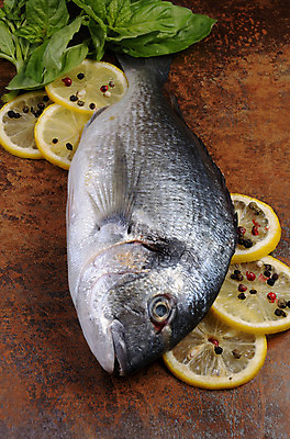 포토 JPG 해외이미지 그릇 접시 음식 조각 부분 반찬 건강 어류 요리 사람없음 옆모습 식사 저녁식사 자르기 레몬 해산물 향신료 날것 바질 점심식사 당뇨병 배급 생식 오메가 해외202004 해외포토 식기 뷰포인트 과일 모션 수중동물 질병 향미료 파일형식 이미지허브