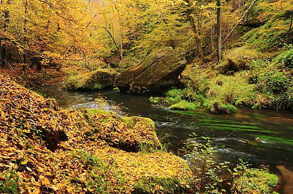 포토 JPG 해외이미지 나무 계절 공원 호수 백그라운드 잎 오렌지 자연 이끼 풍경 사람없음 야외 목재 빨간색 초록색 물 강 컬러풀 노란색 환경 흐름 가을 바위 시골 개울 황금 숲 작음 11월 장면 10월 내추럴 해외202004 해외포토 자연요소 식물 공공시설 컬러 컨셉 과일 재료 돌_바위 날짜 크기 생태계 파일형식 이미지허브