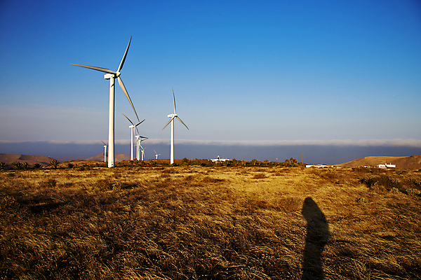 포토 JPG 해외이미지 식물 구름 접시 여행 백그라운드 패턴 곡선 건축양식 아프리카 자연 하늘 바람 추상 그림자 이끼 사람없음 금속 페인트 에너지 기둥 스페인 그린에너지 철 언덕 질감 화산 철강 해외202004 해외포토 자연요소 식기 건축 유럽 나라 선 무늬 재질 날씨 산 생태계 파일형식 이미지허브