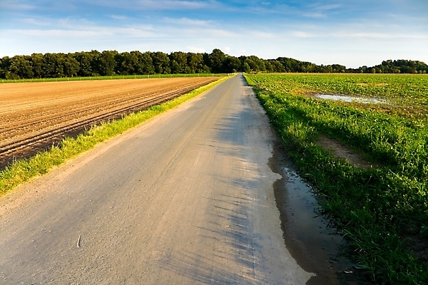 포토 JPG 해외이미지 구름 도로 길 밭 농업 하늘 풍경 사람없음 초록색 여름 파란색 농작물 농장 환경 맑음 회색 시골 방법 밭일 생태학 카피스페이스 해외202004 해외포토 자연요소 계절 교육 산업 컬러 교통시설 날씨 공백 파일형식이미지허브 