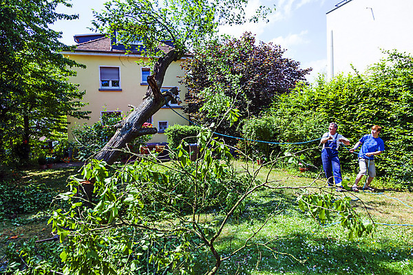 포토 JPG 해외이미지 나무 백인 손 남자 밧줄 셔츠 노동자 주택 안전 사람 성인 야외 두명 목재 정원 점프 장비 나뭇가지 공구 청바지 잡기 소나무 업무 작업 칼날 떨어짐 숲 위험 자르기 사건 원예 날카로움 엔진 러시아인 조작 주목 톱질 해외202004 해외포토 서양인 식물 직업 줄 컨셉 상의 재료 바지 모션 취미 건물 신체부위 도구 파일형식 이미지허브