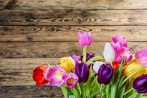 포토 JPG 해외이미지 디자인 꽃잎 꽃 분홍색 꽃다발 결혼 백그라운드 컨셉 잎 꽃무늬 자연 벽지 탁자 엄마 휴가 기념 아이디어 발렌타인데이 선물 사랑 사람없음 목재 빨간색 봄 튤립 수확 벚꽃 흰색 시골 신선 오픈 질감 아로마 부드러움 옛날 해외202004 해외포토 나무 식물 계절 감정 컬러 가구 무늬 농업 재료 가족 데이이벤트 이벤트 감각 생태계 파일형식 이미지허브