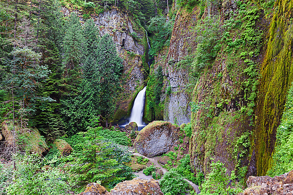 포토 JPG 해외이미지 나무 식물 여행 북아메리카 자연 안테나 이끼 풍경 사람없음 야외 목재 골짜기 미국 폭포 산책로 하이킹 황무지 숲 암초 양치류 현무암 해외202004 해외포토 길 재료 통신 레저 아메리카 생태계 화산암 파일형식 이미지허브