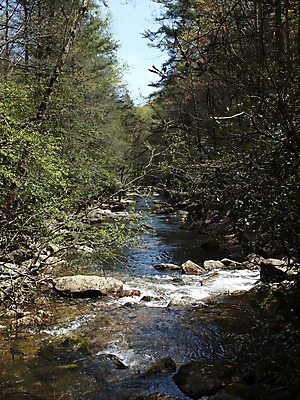 포토 JPG 해외이미지 여행 자연 풍경 사람없음 야외 초록색 물 강 환경 맑음 봄 폭포 젖음 흐름 바위 개울 떨어짐 숲 내추럴 해외202004 해외포토 자연요소 계절 컬러 컨셉 날씨 돌_바위 생태계 파일형식 이미지허브