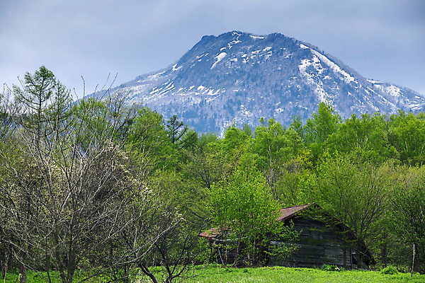 포토 JPG 해외이미지 도로 여행 건축양식 자연 지붕 산 주택 따뜻함 노르웨이 풍경 사람없음 목재 초록색 물 여름 농가 농장 마을 정원 계곡 일본 시골 볏짚 숲 오두막 시골집 장면 북쪽 산악지대 고립 방법 스칸디나비아 옛날 해외202004 해외포토 자연요소 나무 계절 건축 유럽 아시아 길 컬러 농업 재료 교통시설 건물 짚 방향 생태계 파일형식 이미지허브