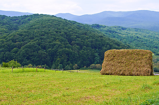 포토 JPG 해외이미지 나무 구름 계절 공원 자연 하늘 아침 산 파노라마 풍경 사람없음 야외 초록색 여름 파란색 환경 계곡 봄 숲 언덕 산등성이 내추럴 웅장함 절정 해외202004 해외포토 주간 자연요소 식물 공공시설 컬러 촬영기법 생태계 파일형식 이미지허브